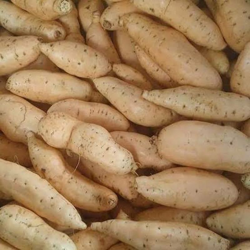 

ubi Cilembu/1kg
