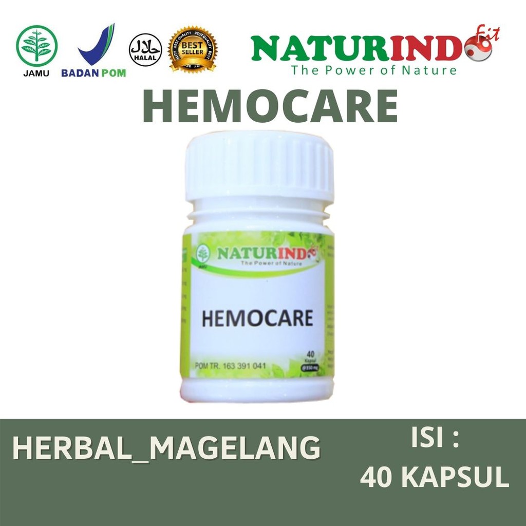 Obat Herbal Wasir Daun Ungu Ambeien Obat Ambeyen Paling Ampuh Obat BAB Berdarah Ambien Hemoroid-1