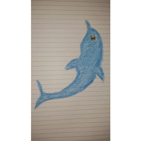 

gambar lumba-lumba biru