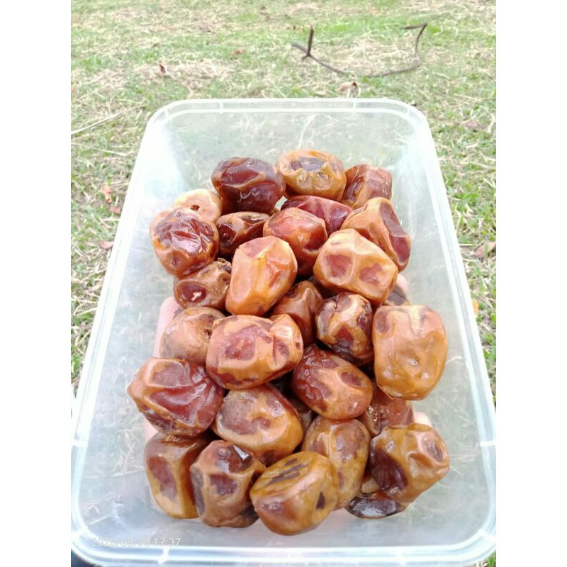 

Kurma sukari