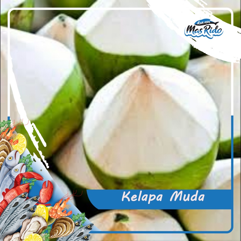 

Kelapa Muda Degan Segar Fresh Kwalitas Super Harga Murah Per Buah