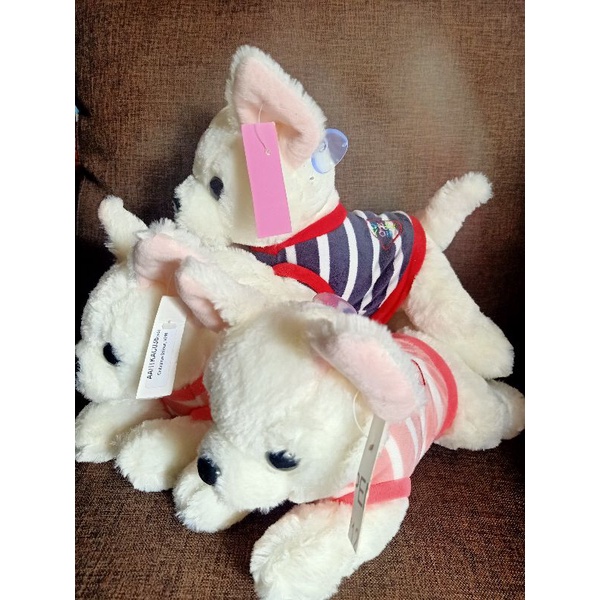 Boneka Anjing Boneka chihuahua Boneka Anjing Couple