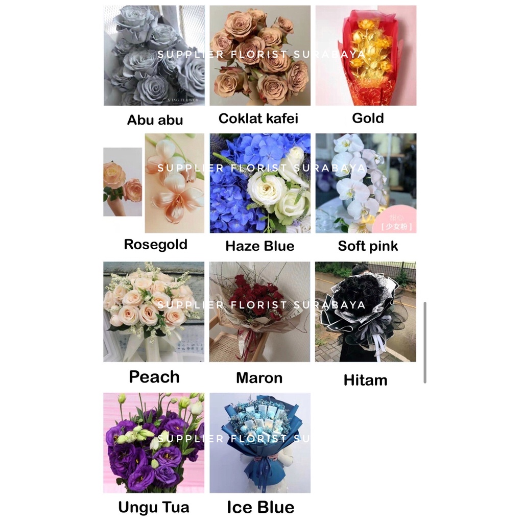 FLORAL COLOR SPRAY CEPAT KERING PENGUBAH WARNA BUNGA ASLI SEMPROTAN BUNGA CAT BUNGA PILOX PYLOX UNTUK BUNGA ASLI PEWARNA CAT BUNGA ASLI DESIGN MASTER