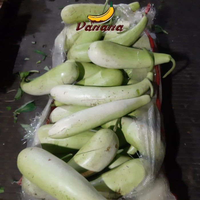 

Sayur Labu Panjang/ Lodrong 1 pcs