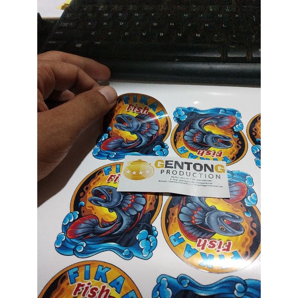 stiker channa limbatta cutting stiker  anti air stiker ikan maru ikan channa a3+