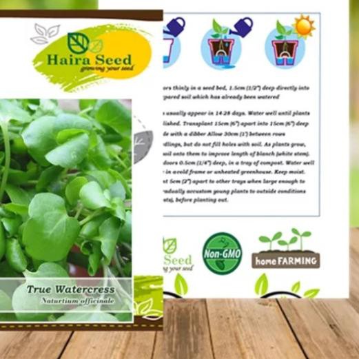 ♞ Haira Seed Benih Selada Air - True watercress ✶