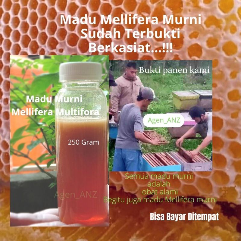 Madu Mellifera Multifora Madu Nektar Bunga Alam apis mellifera Asli Murni 100% Madu murni berat 250gram untuk sakit lambung maag kolesterol darah tinggi nafsu makan imun menambah daya tahan tubuh