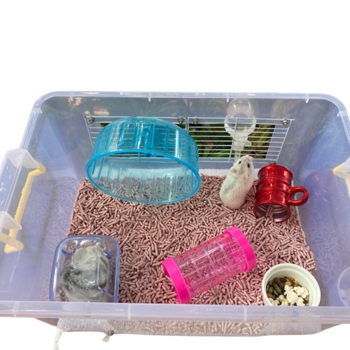 CLUMPET ALAS KANDANG HAMSTER / BEEDING BEDDING SOYA TOFU LITTER BERKUALITAS TINGGI FEZONE