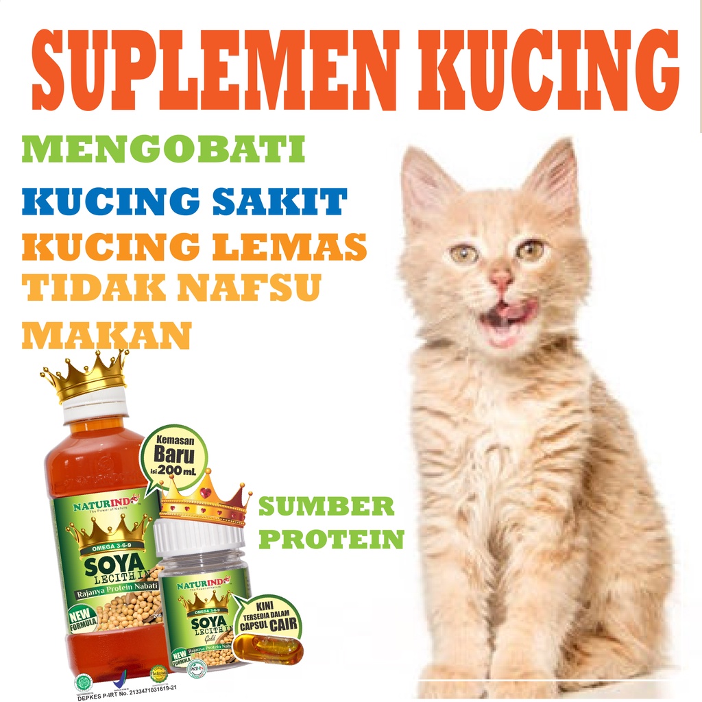 OBAT KUCING SAKIT LEMAS SUPLEMEN TIDAK MAU MAKAN KERACUNAN OMEGA SOYA
