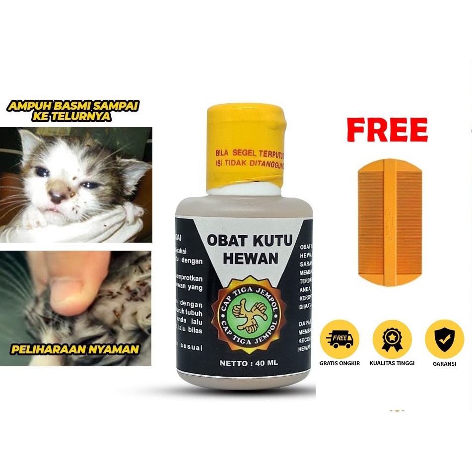 AMPUH Obat Minyak Kutu Hewan Kucing Dan Anjing - Pembasmi Kutu SampaiTelurnya Cap Tiga Jempol 40 ML Bonus Serit freeongkir COD