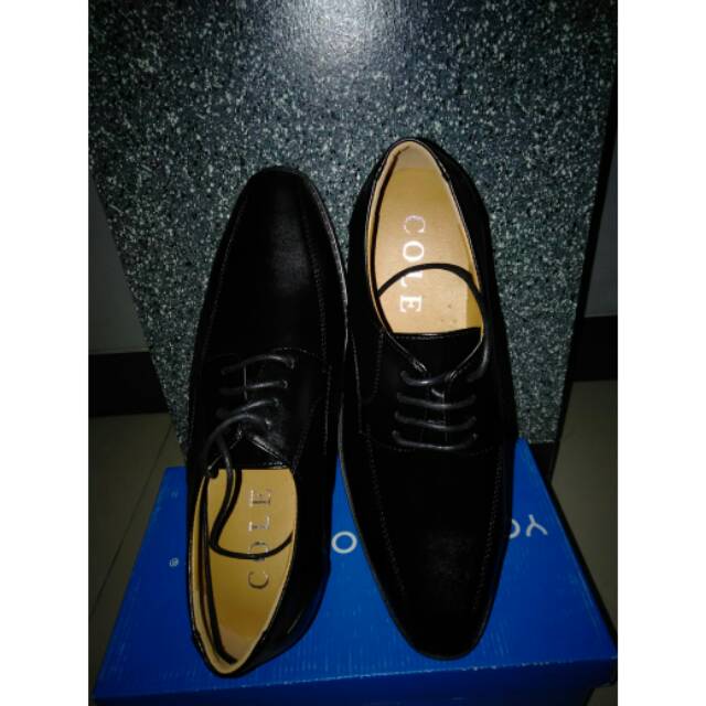 SEPATU PRIA COLE