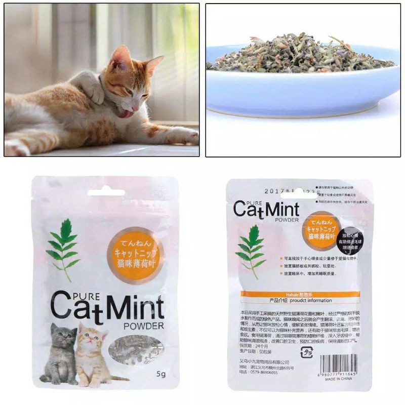 [TGL PRODUKSI] Catnip Camilan Kucing 5g Catmint Menthol Snack Makanan Cat Kitten Import