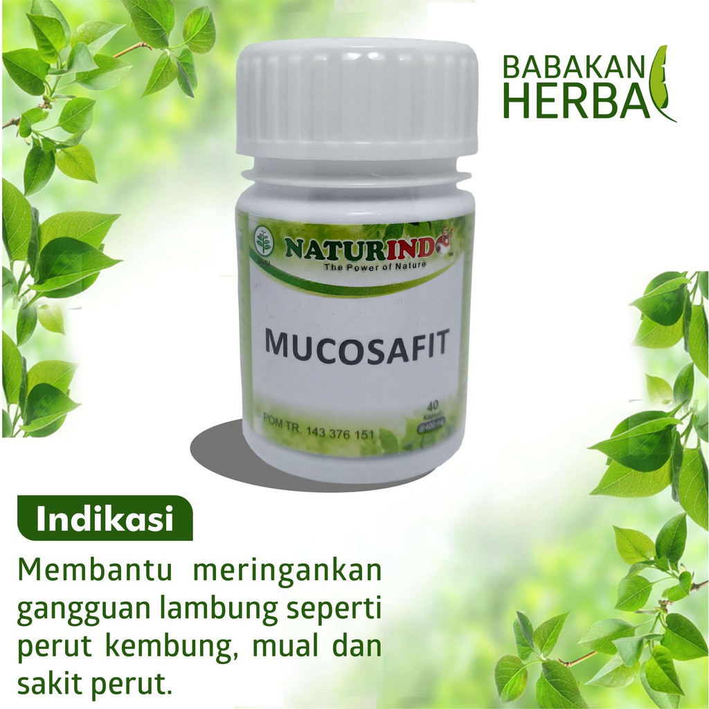 

Naturindo MUCOSAFIT Babakan Herbal Obat Herbal Gangguan Lambung Perut Kembung dan Mual
