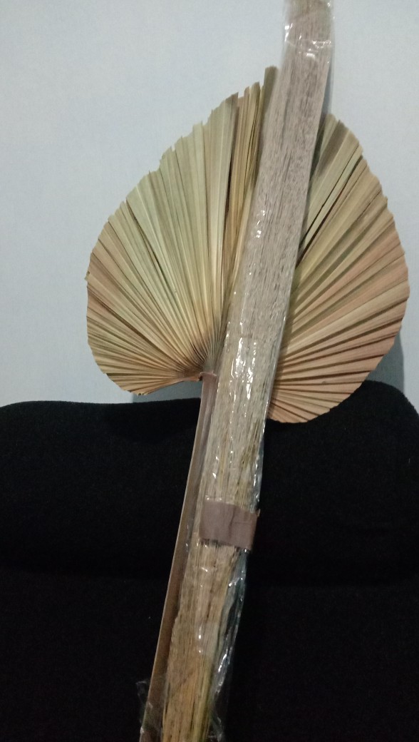 Daun Palm Kering Ukuran 30cm | Dried Palm Leaves | Dried Flowers