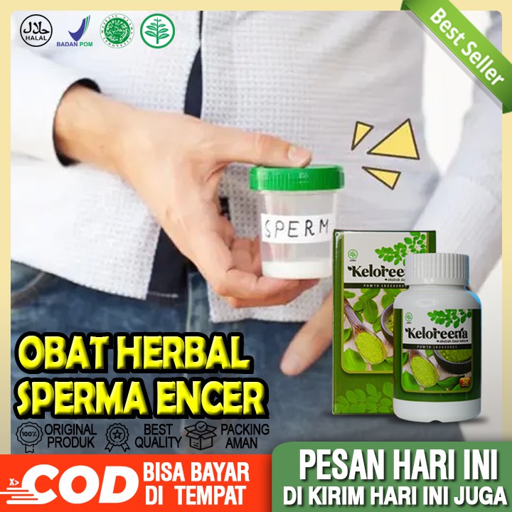 Obat Teratozoospermia - Sperma Encer - Sperma Sedikit - Dengan Kapsul Daun Kelor