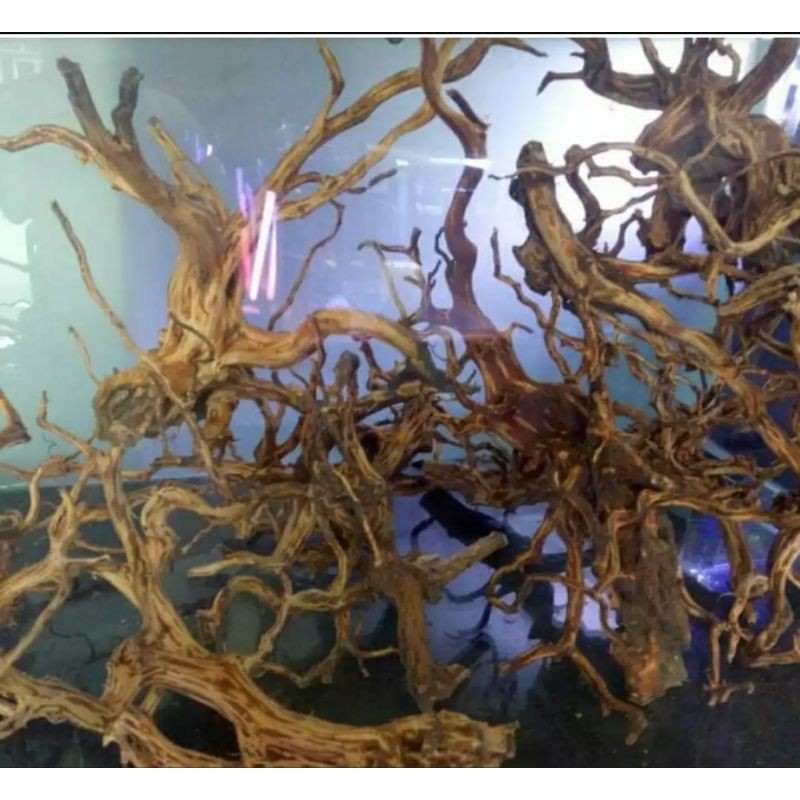 Jual Kayu Rasamala Aquascape SIZE S HARGA Perbatang / Kayu dekorasi