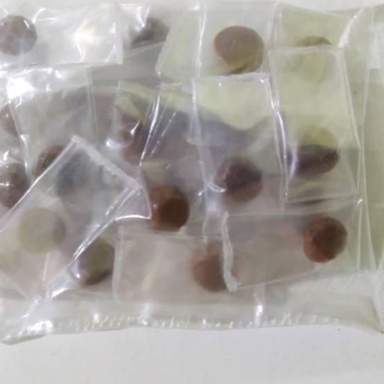 

Miliki Getah Inggu Isi 25 Butir