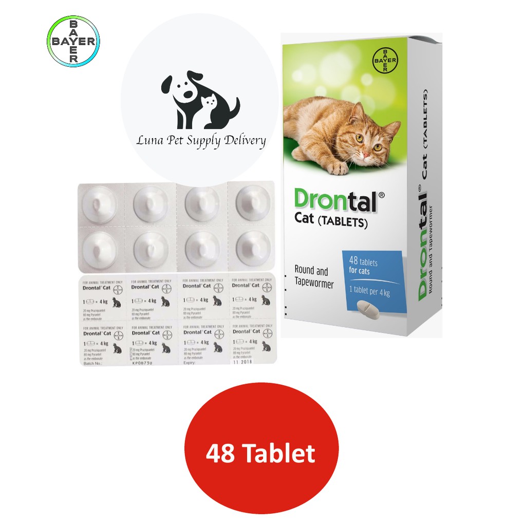 Obat Cacing Drontal Cat 1 box isi 48 Tablet