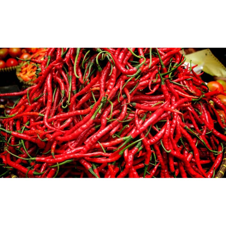 

Cabe / cabai merah keriting 250gram