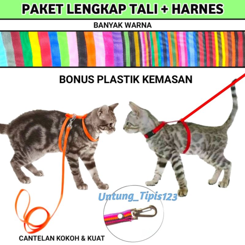 Harnes Kucing Anjing model H dan Y Tali Tuntun Paket Lengkap untuk hewan harness rompi