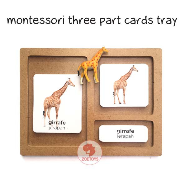 Zoetoys Montessori Three Part Cards Tray | LANGUAGE | Mainan Edukasi Anak