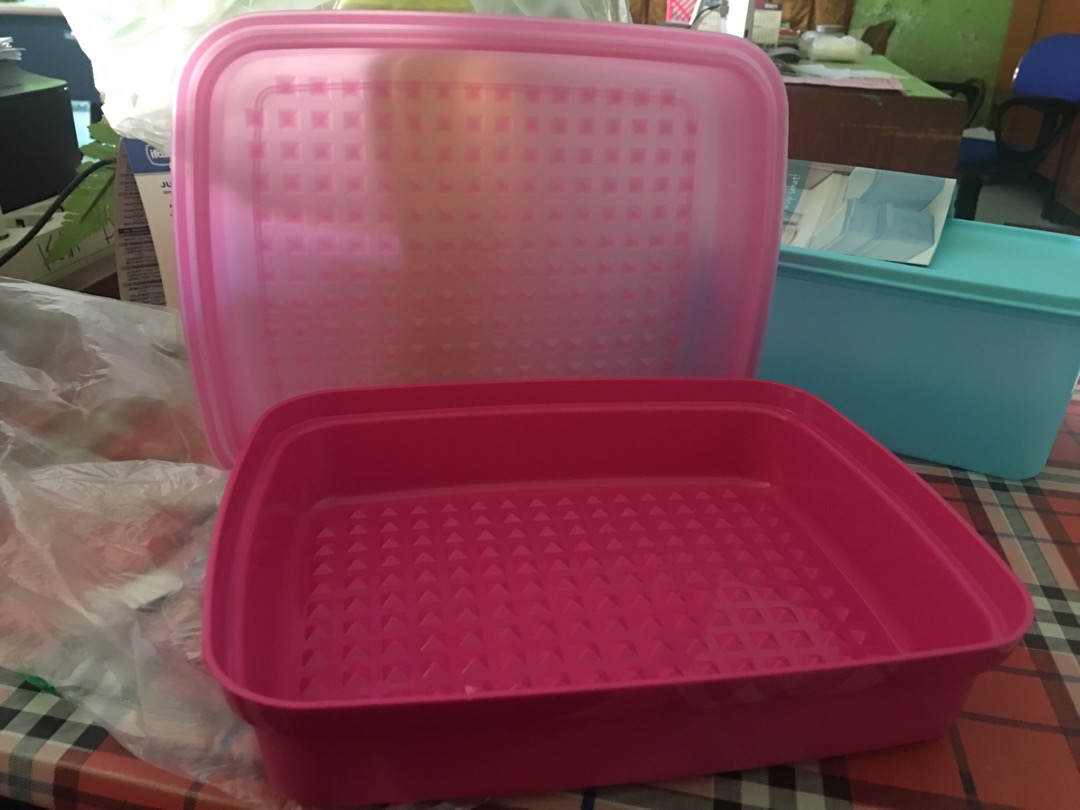 Junior Season Serve Pink Original Tuppyy Malaysia