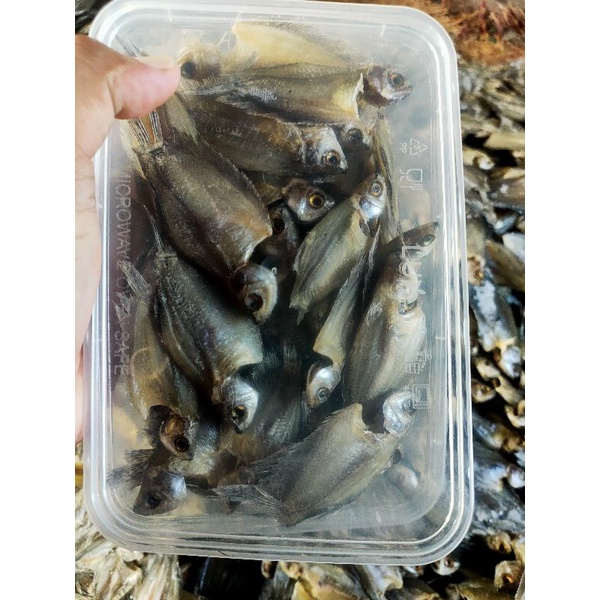 

Ikan asin sepat mini 1 box 10k