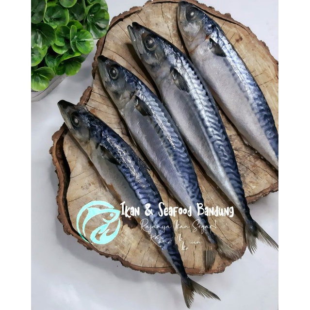 

Ikan Mackerel / Makarel / Saba