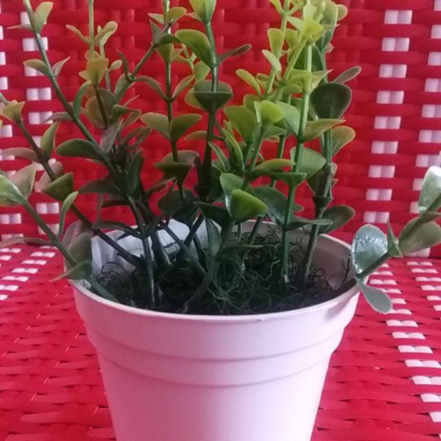 Set Pot + Bunga Hias Rumput Bunga Palsu Bunga Plastik Rumput Artifisial  Hiasan Rumah Shabby Lover