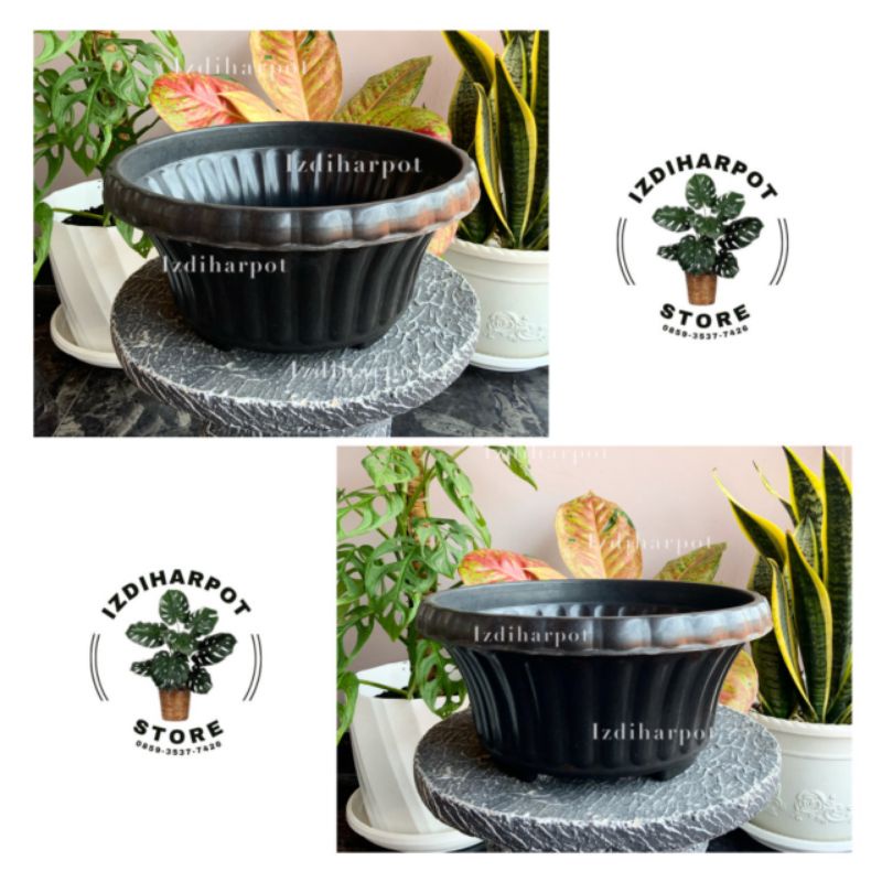 pot bunga tanaman bonsai glory 25 hitam tebal - BONSAI GLORY 25 HITAM
