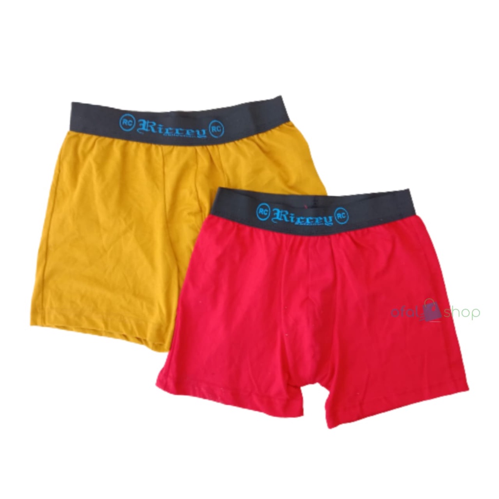 3 Pcs celana dalam pria boxer merk Riccey RC