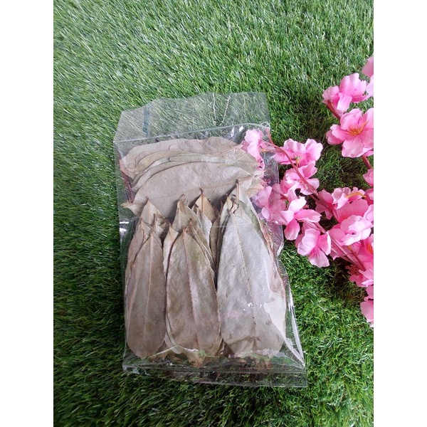 

Daun Sirsak Kering 100 lembar (Kualitas No 1)
