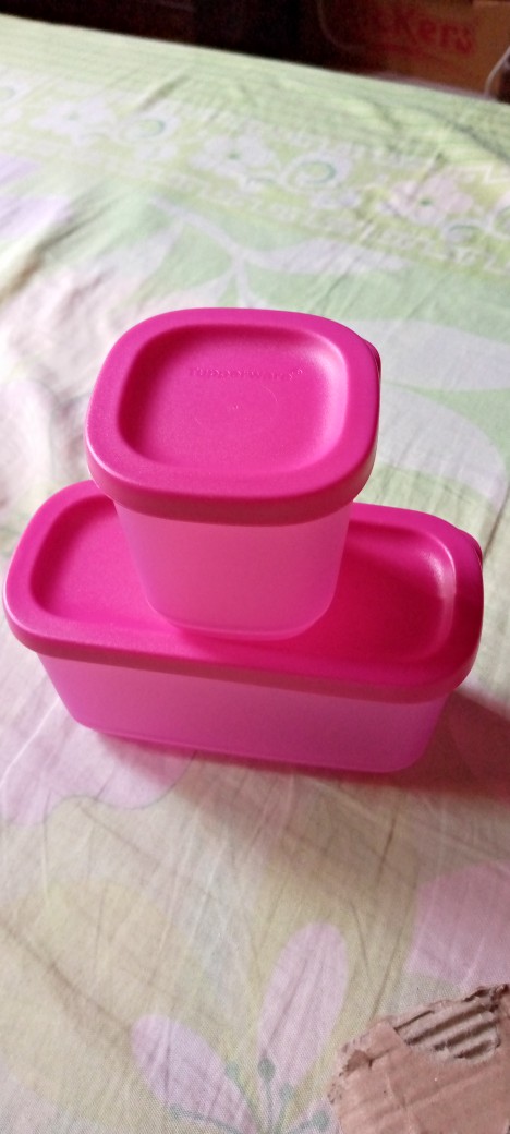Petite Fiesta (2 Pcs)  Wadah Mini Tupwr