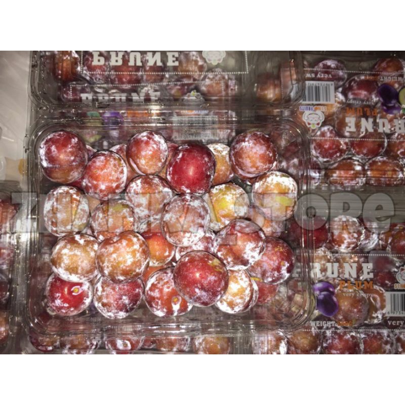 

! KOSONG ! Buah Plum mini Prune import fresh