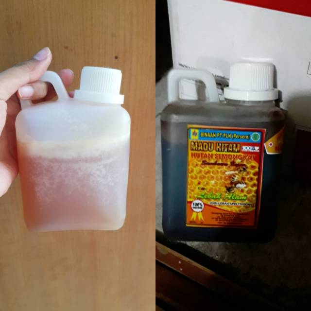 

Madu Semongkat asli sumbawa