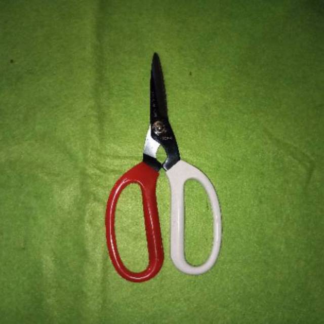 

gunting prunning