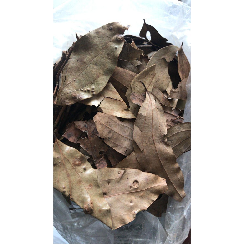 

DAUN KAYU MANIS KERING ( 1 KG )