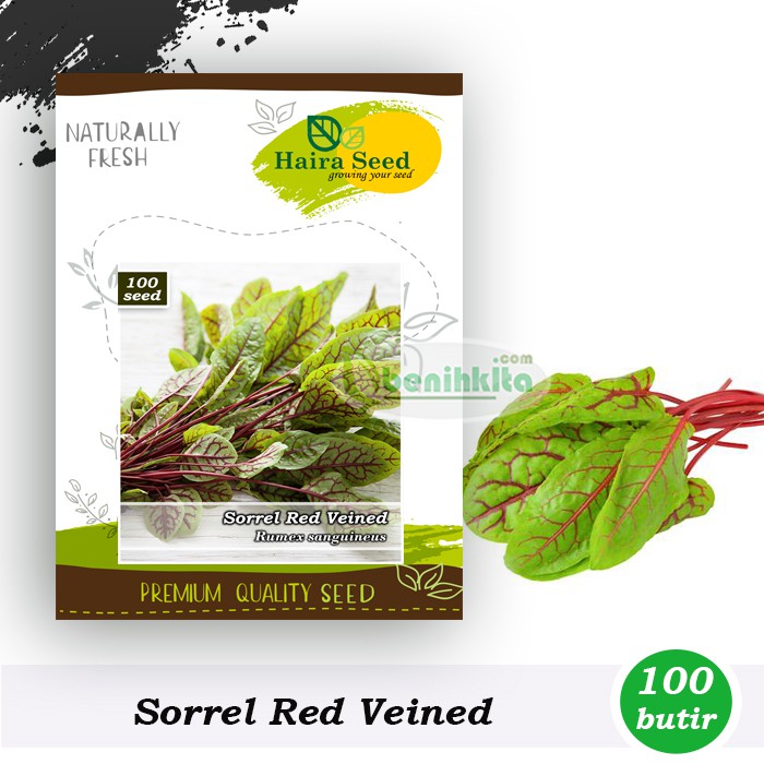 Benih-Bibit Sorrel Red Veined (Haira Seed)