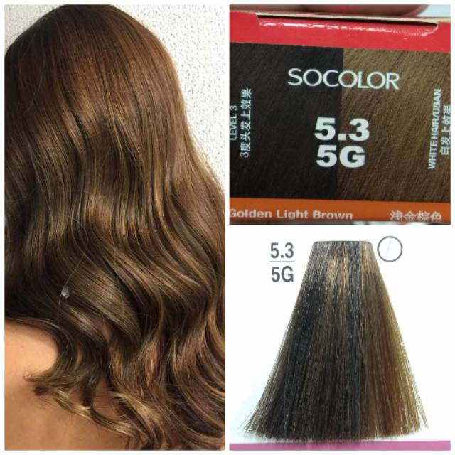 Matrix SoColor 5 3 5G Golden  Light Brown Cat  Rambut  Coklat  