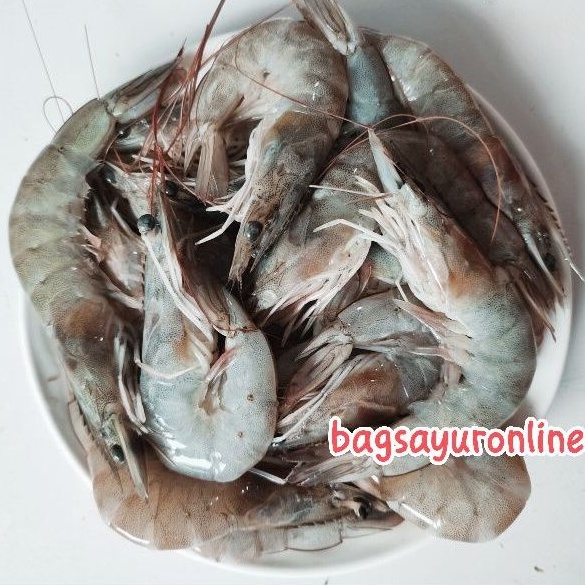 

Udang Segar / Udang Vaname 500gr