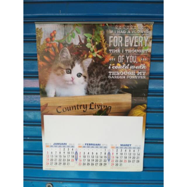 Kalender dinding Triwulan kucing Motivasi Tahun 2020