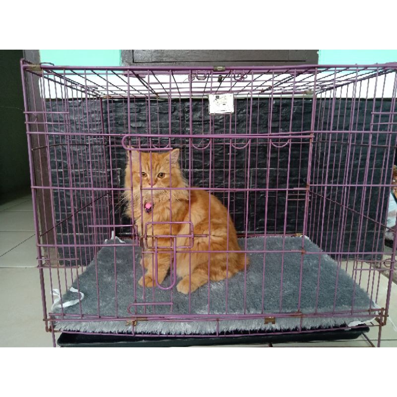 ALAS KANDANG KUCING DAN ANJING KAIN BULU RASFUR TEBAL 2 CM-1