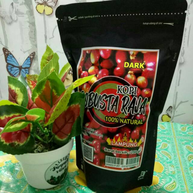 

Dark Robusta Raja