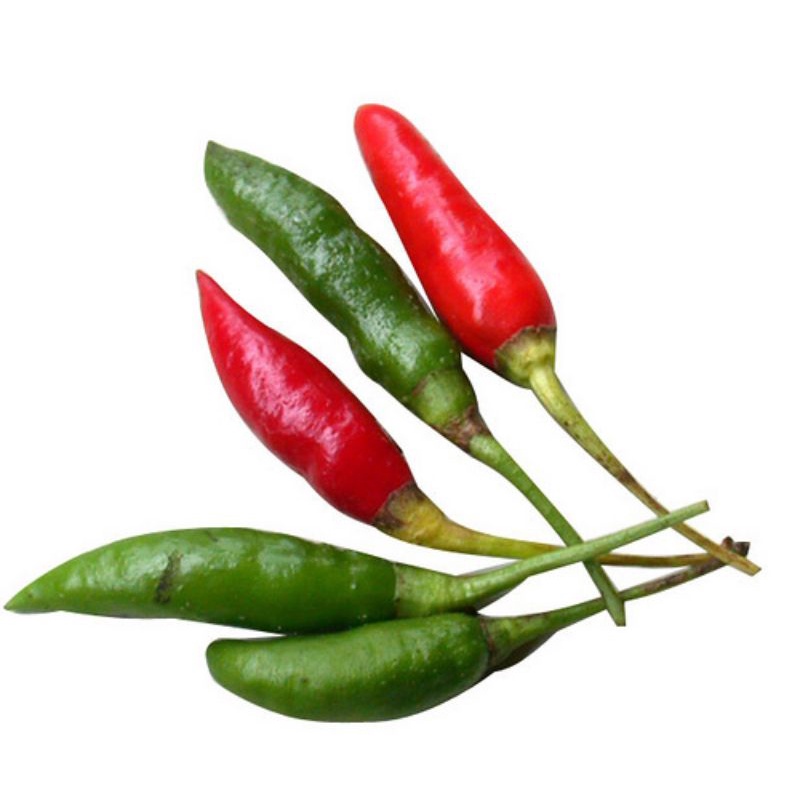

Cabe cengek