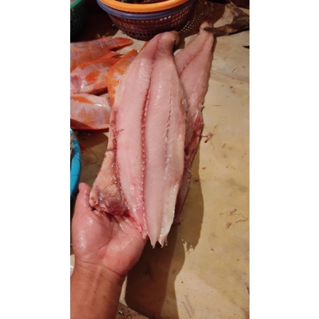 

TENGIRI FILLET 1 kg
