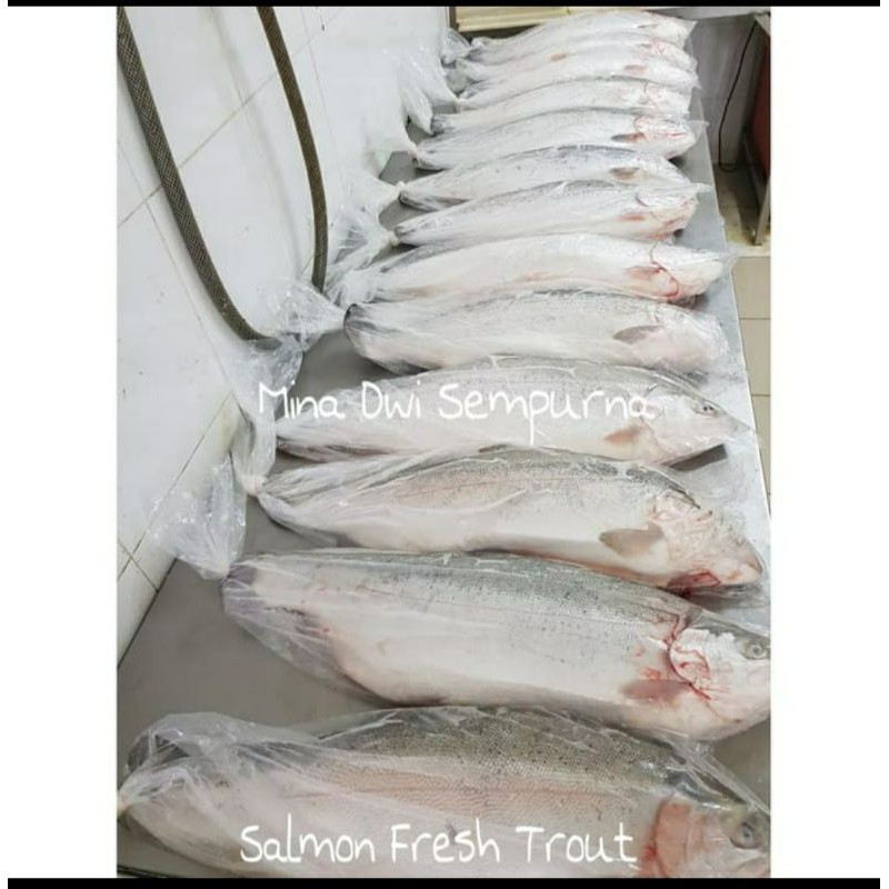 

Ay00! Salmon Fillet Frozen Ekor 250Gram (Norwegian Salmon Premium)