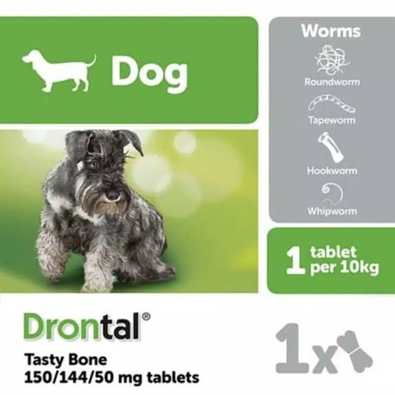 Drontal Plus Tasty Dog Obat Cacing Anjing per 1 tablet