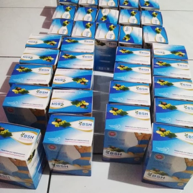 Body Slim Herbal BSH IMPORT Obat Diet Pil Diet Herbal Kurus Sehat dan Cepat
