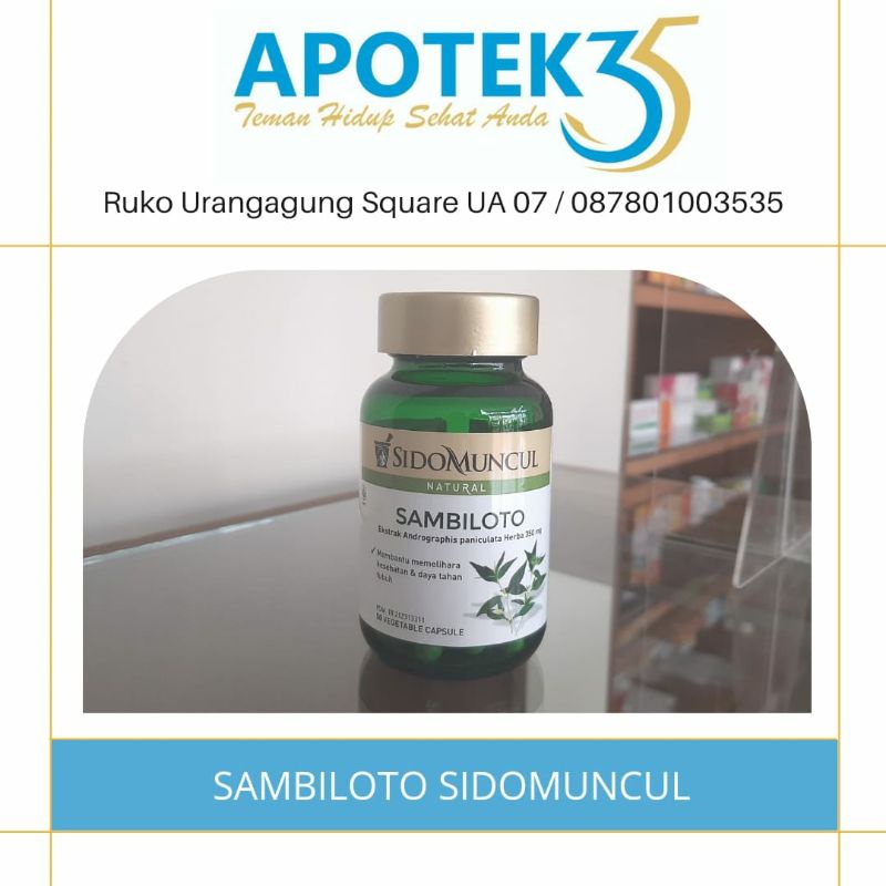 Sambiloto Sidomuncul