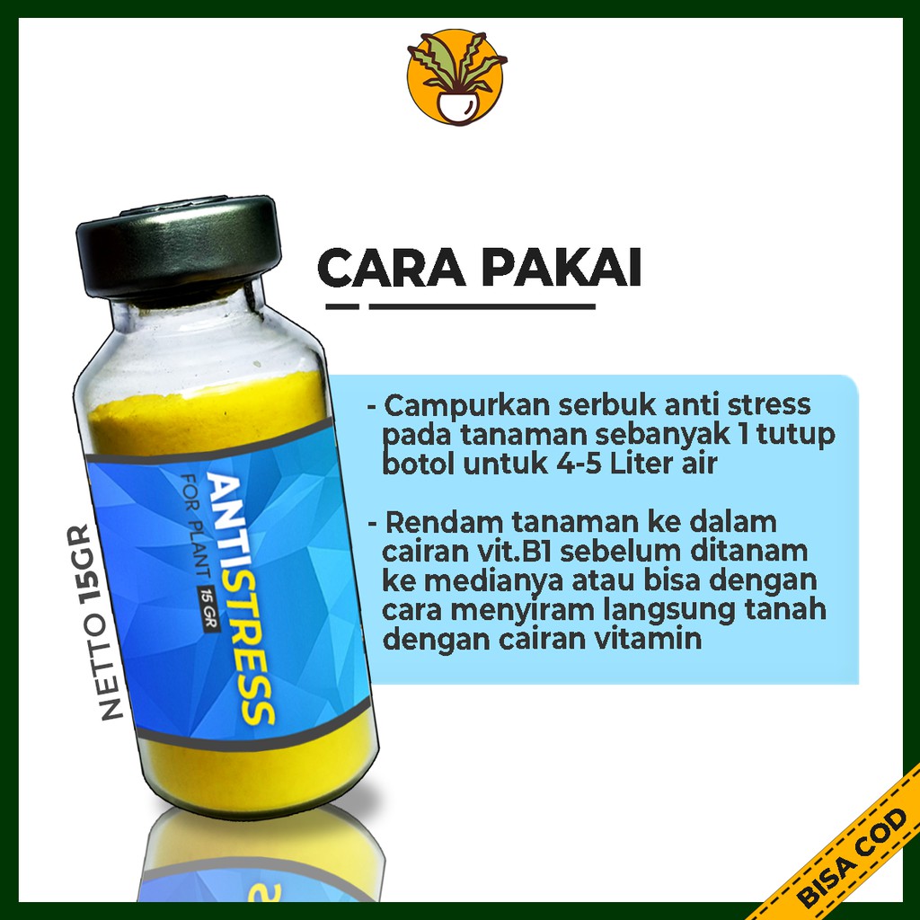 Vitamin B1 untuk Tanaman Obat Anti Stress Tanaman Hias Aglonema Monstera Variegata Caladium